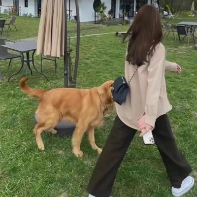 声音之春