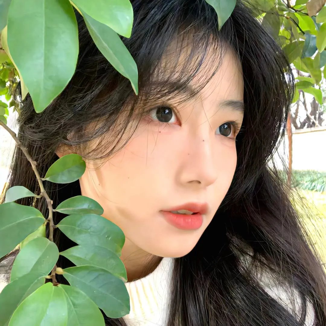 我生命中的女人